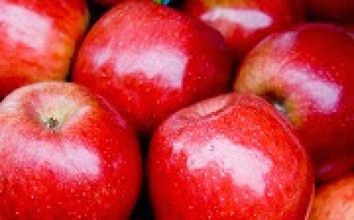 Сонник к чему снятся яблоки во сне: собрать, рвать или есть их?
