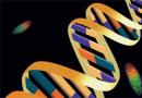Эволюционный прогресс Роль РНК в происхождении жизни