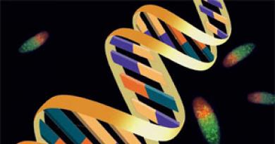 Evolutionaire vooruitgang De rol van RNA bij het ontstaan ​​van leven