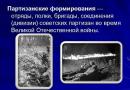 Презентация партизанское движение в годы великой отечественной войны