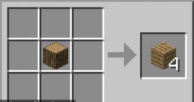 Hoe maak je alle noodzakelijke dingen in Minecraft?